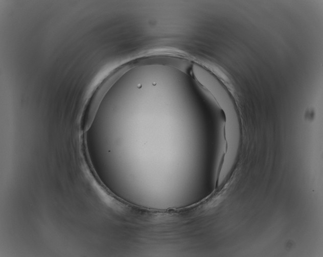 X0000091981430200710041100