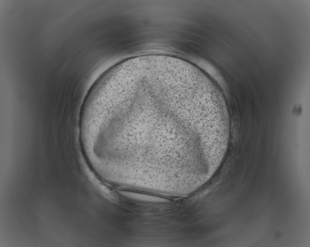 X0000091981431200710041100