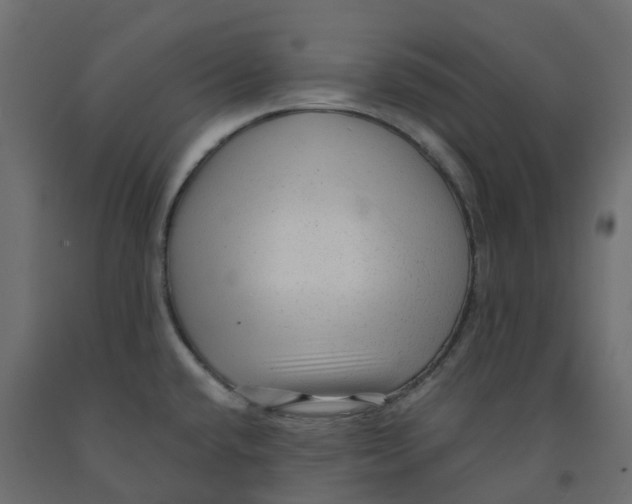 X0000091981432200710041100