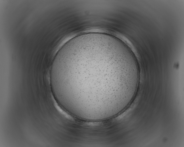 X0000091981433200710041100