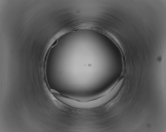 X0000091981434200710041100