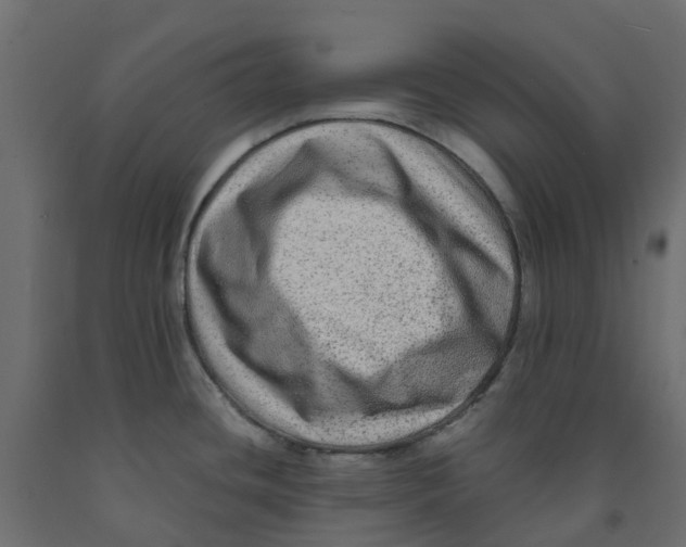 X0000091981436200710041100