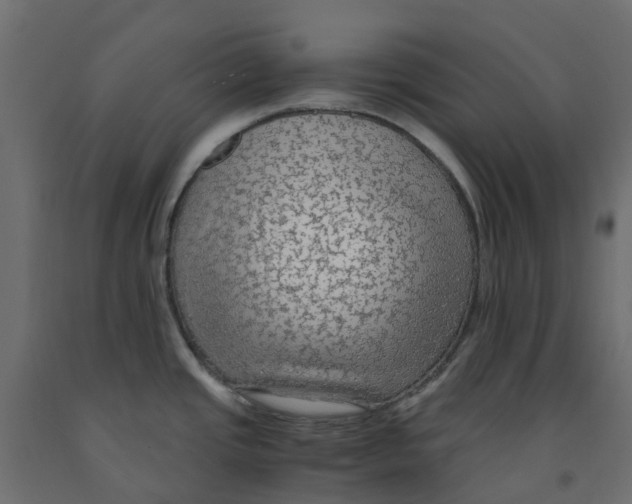 X0000091981437200710041100