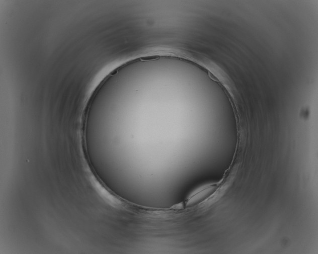 X0000091981438200710041101