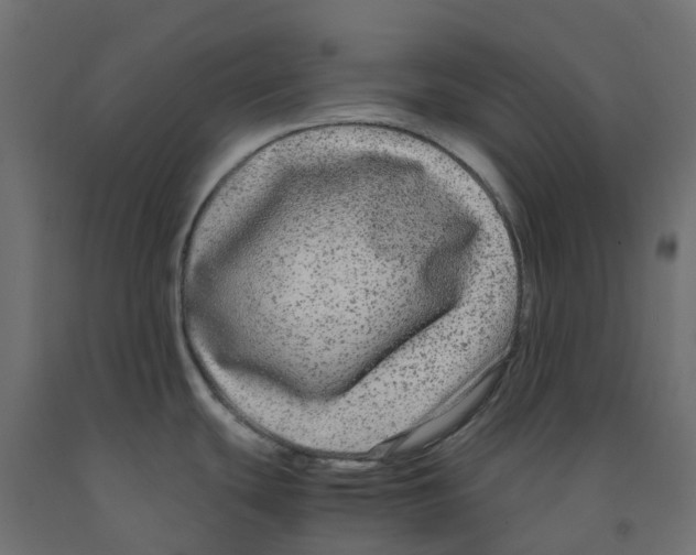 X0000091981439200710041101