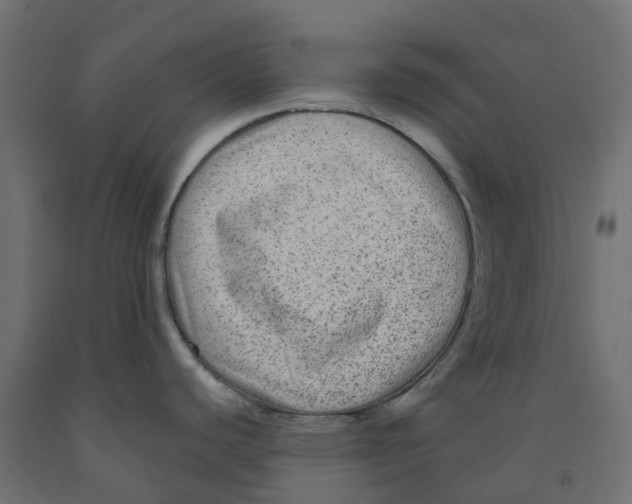 X0000091981440200710041101