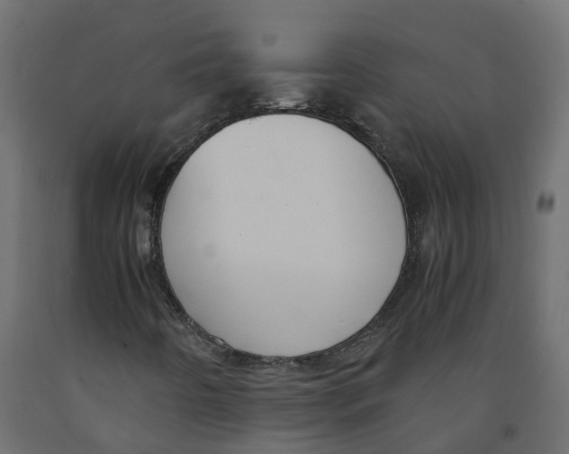 X0000091981442200710041100