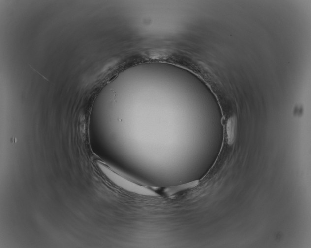 X0000091981443200710041100