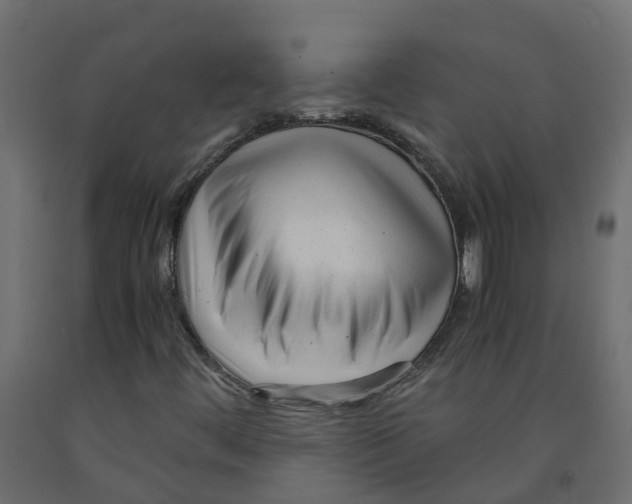 X0000091981444200710041100