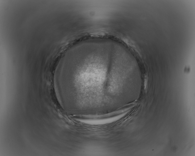 X0000091981445200710041100