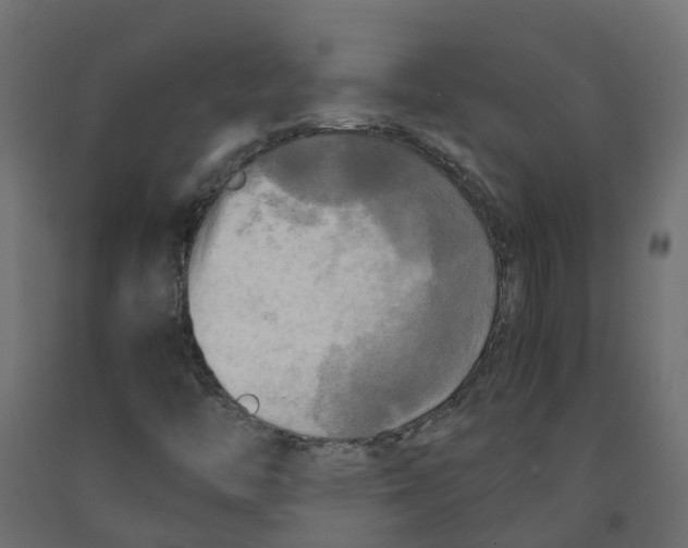 X0000091981446200710041100
