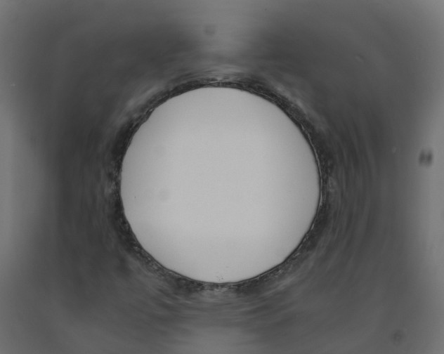 X0000091981447200710041100
