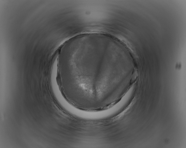 X0000091981449200710041100