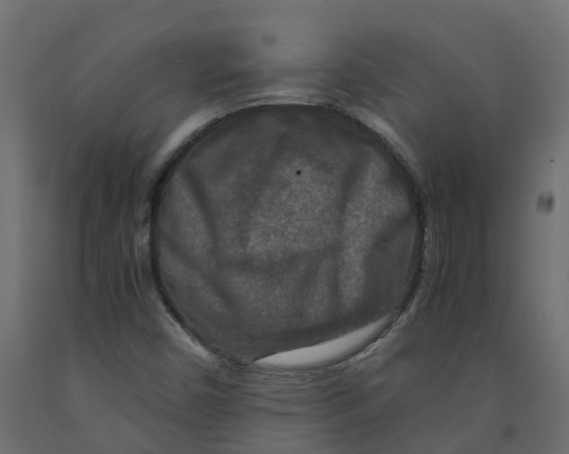 X0000091981450200710041100