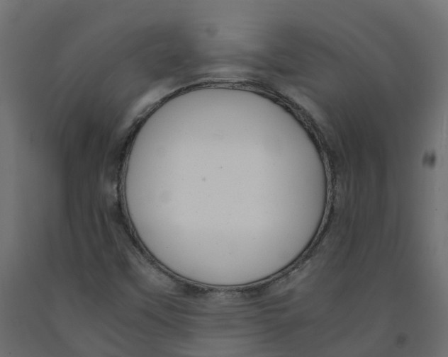 X0000091981451200710041100