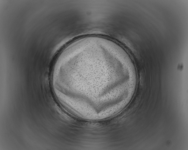 X0000091981452200710041100