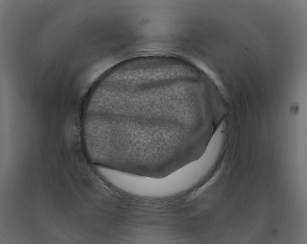 X0000091981453200710041100