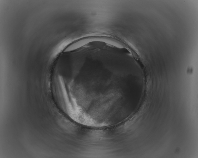 X0000091981455200710041100