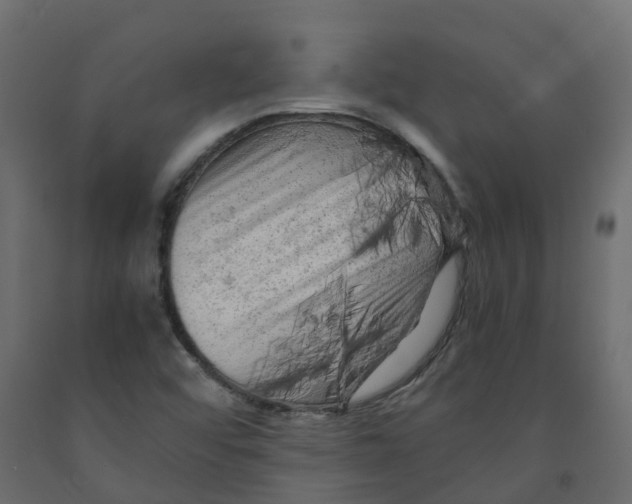 X0000091981456200710041100