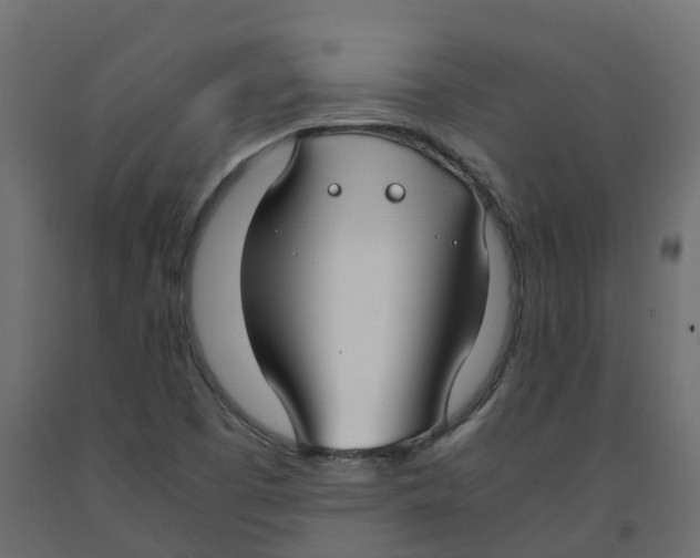 X0000091981457200710041100