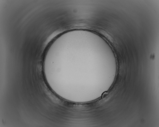 X0000091981458200710041100