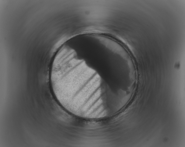 X0000091981459200710041100