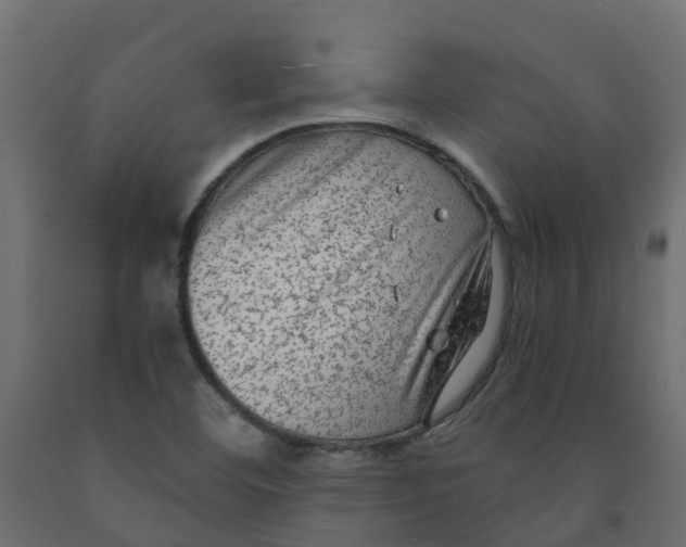 X0000091981460200710041100