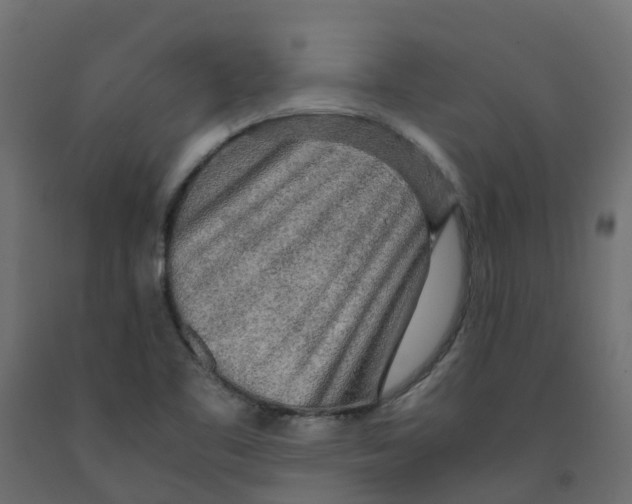 X0000091981461200710041100