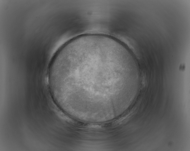 X0000091981462200710041100