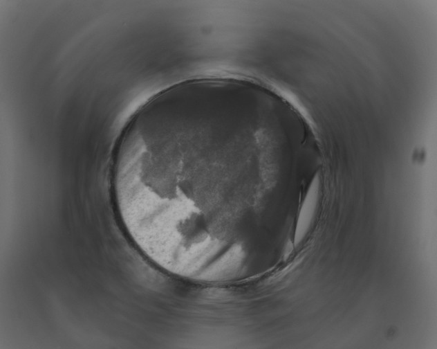 X0000091981463200710041100