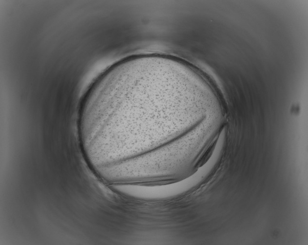 X0000091981464200710041059
