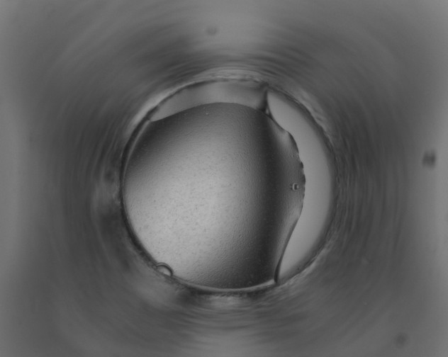 X0000091981465200710041059