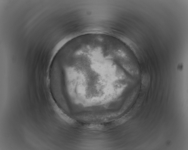 X0000091981466200710041059