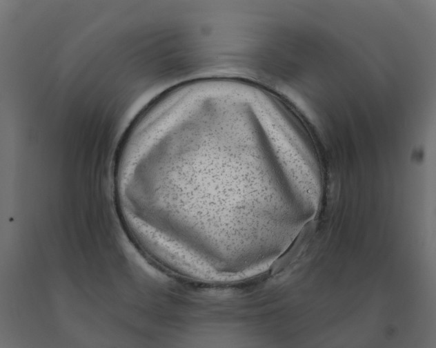 X0000091981468200710041059