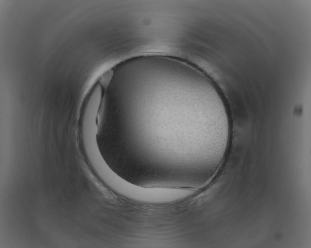 X0000091981469200710041059