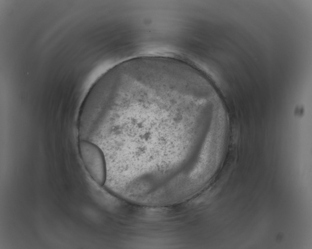X0000091981471200710041059