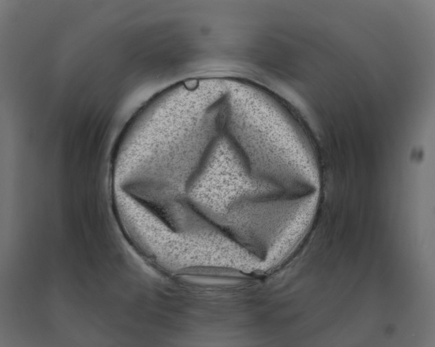 X0000091981472200710041059