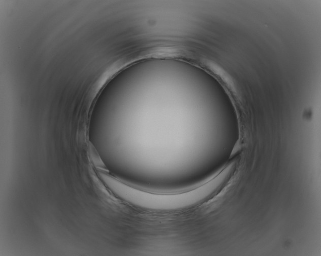 X0000091981473200710041059