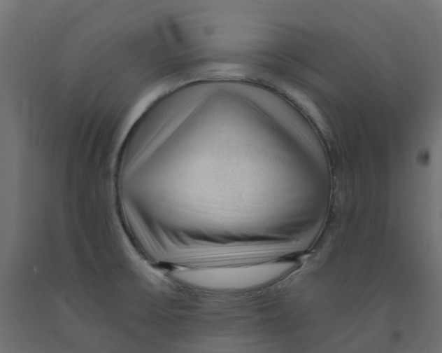 X0000091981475200710041059