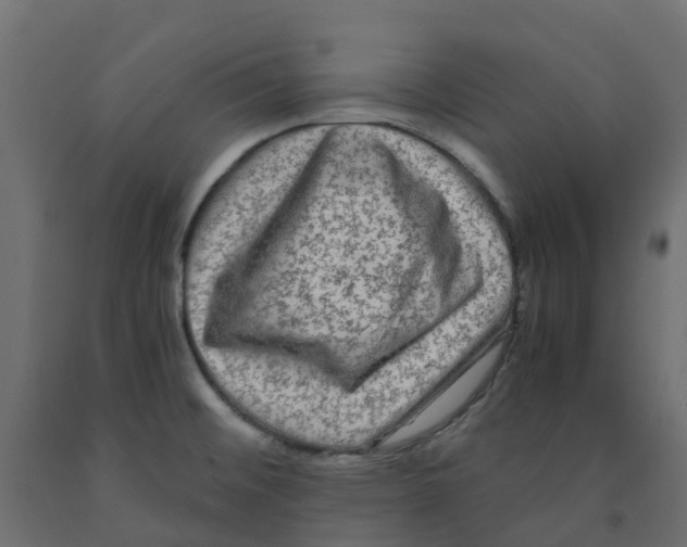 X0000091981476200710041059