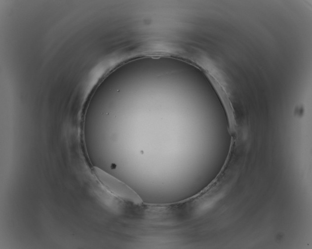 X0000091981477200710041059