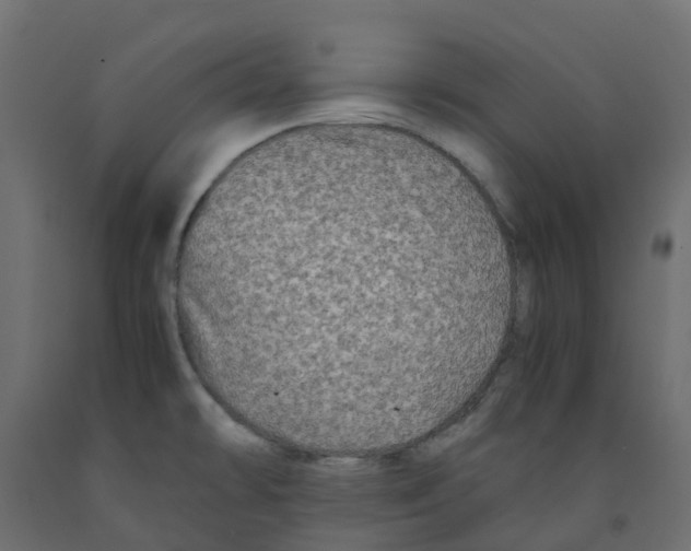 X0000091981478200710041059