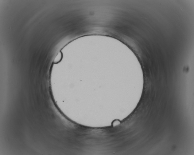 X0000091981479200710041059