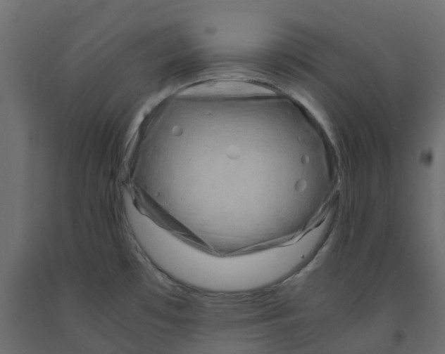 X0000091981481200710041059