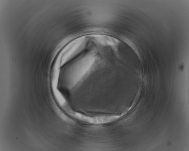 X0000091981482200710041059