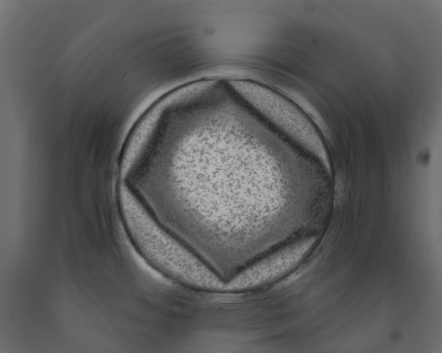 X0000091981484200710041059