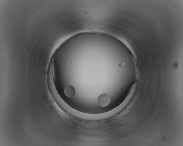 X0000091981485200710041059