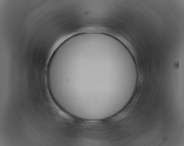 X0000091981486200710041059