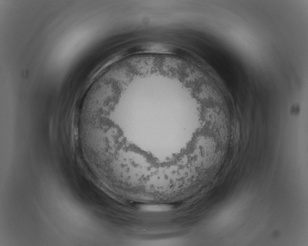 X0000091981487200710041059