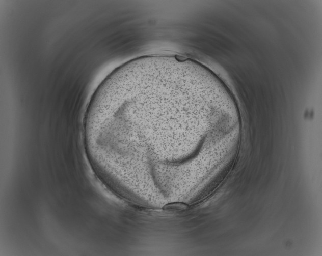 X0000091981488200710041059